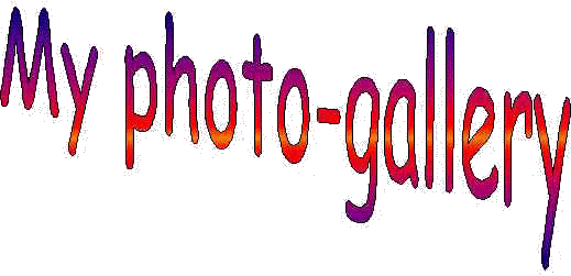 logo4.jpg (18709 bytes)